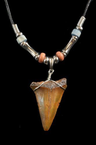 Fossil Mako Shark Tooth Necklace #43061